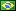 Portugués (Brasil)